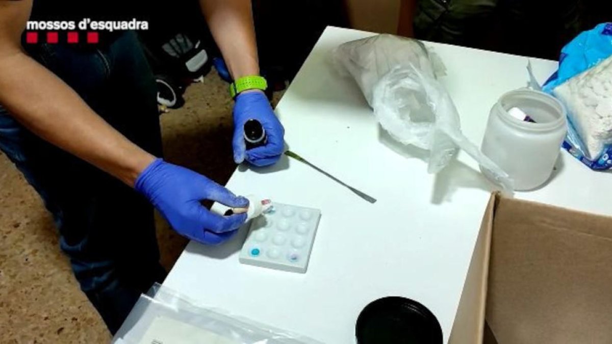 Desarticulada una organització criminal que dirigia una xarxa de venda de cocaïna adulterada a l'Hospitalet de Llobregat