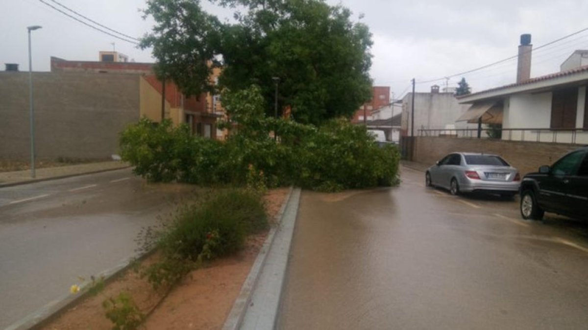 Tempestes fortes i calamarsa en alguns punts de les Terres de l'Ebre