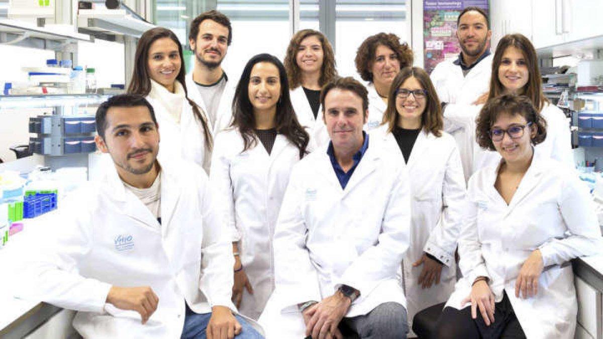 Descobreixen com algunes cèl·lules tumorals s'escapen de la immunoteràpia