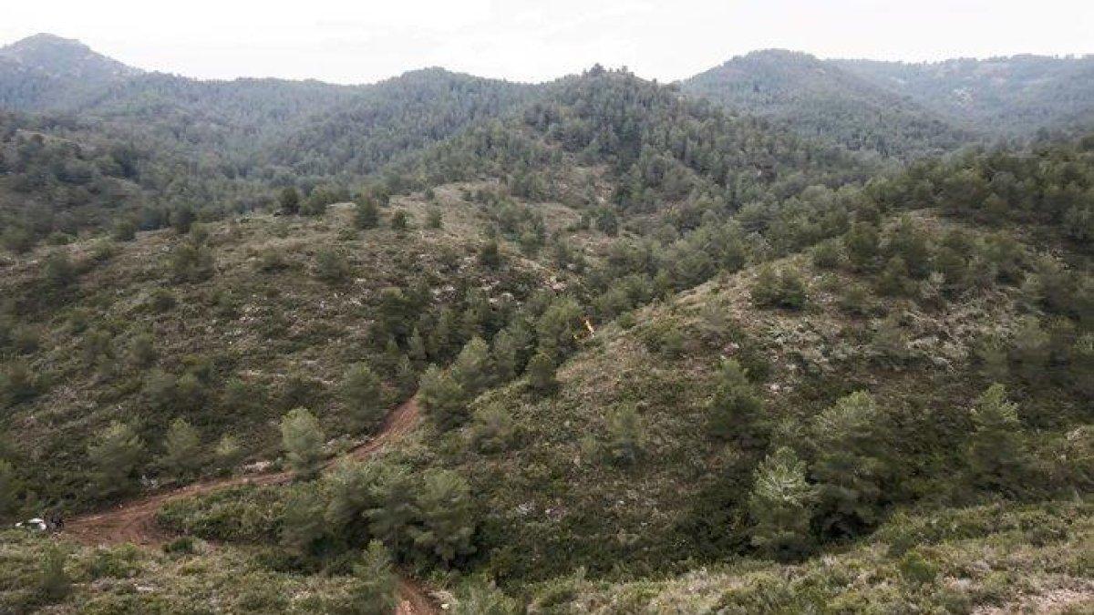 Agricultura fa actuacions per prevenir incendis a la serra de Tivissa