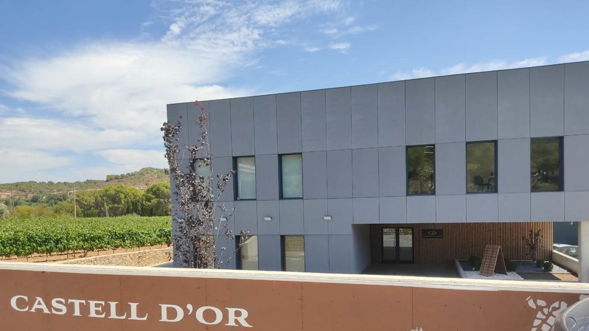 La vitivinícola Castell d'Or de Vila-rodona s'expandeix al mercat nacional