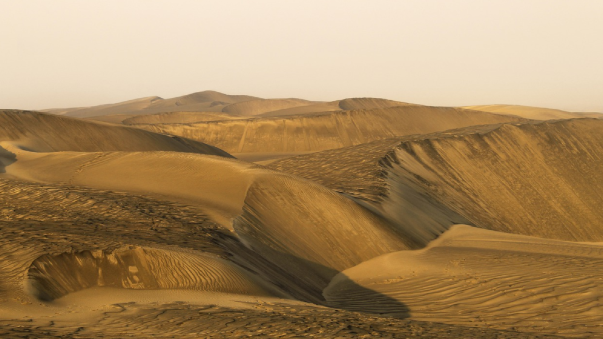 Alerten que els pròxims cinc anys poden ser els més calurosos de la història