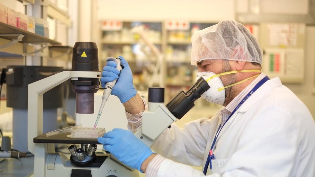 La URV situa 11 disciplines entre les millors del món