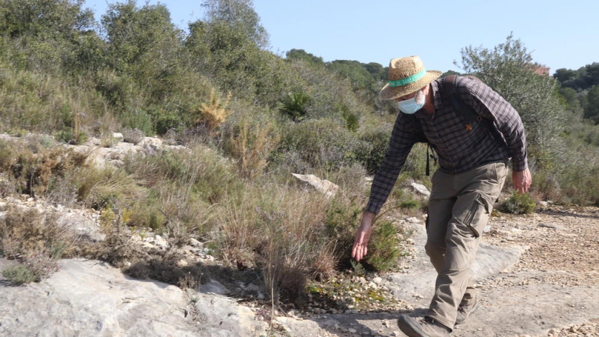 Descubren tramos del acueducto romano del Francolí en torno al Puente del Diablo de Tarragona