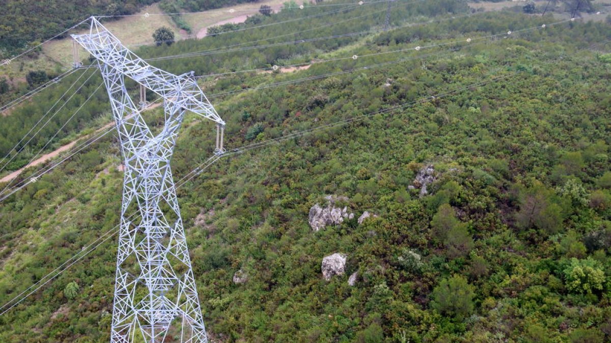 El precio de la electricidad se desploma este domingo y se sitúa el mínimo de este 2021