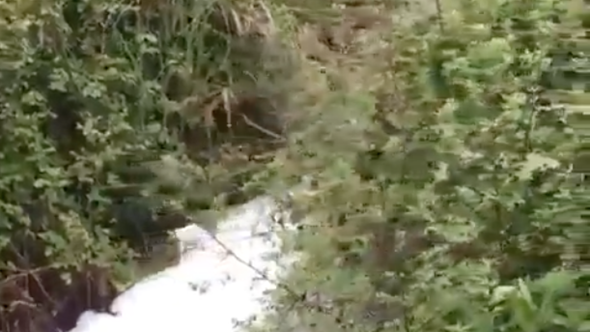 Denuncian un posible vertido de residuos en la Font Major de Alcover