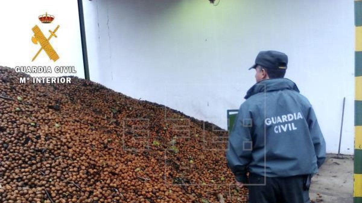 Detenido por estafa en la compra de nueces y anacardos a empresas de Tarragona y Huesca