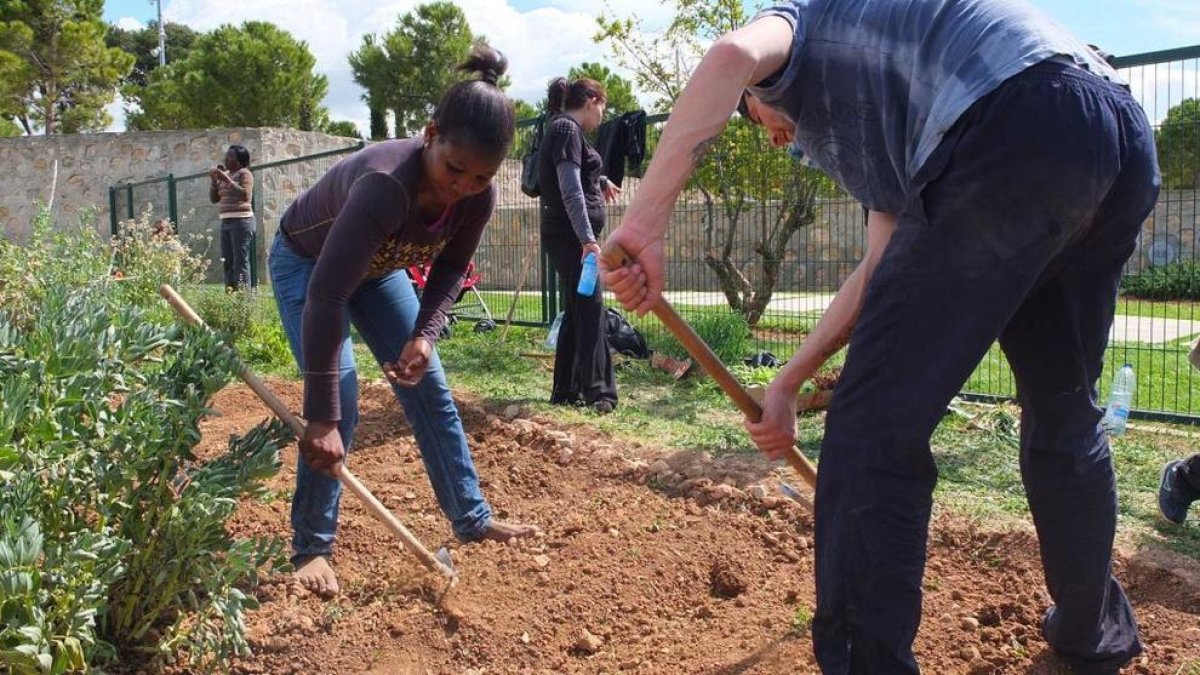 Jóvenes en riesgo de exclusión trabajarán en los huertos sociales de la URV