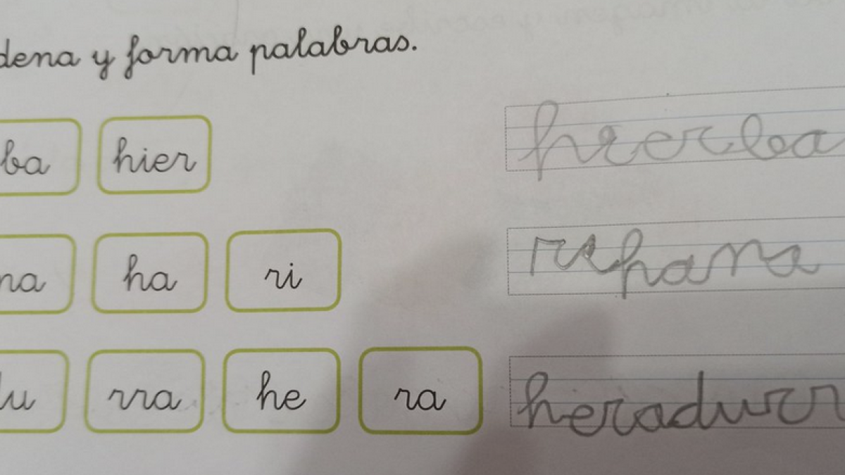 La resposta d'un nen que donarà la volta al món