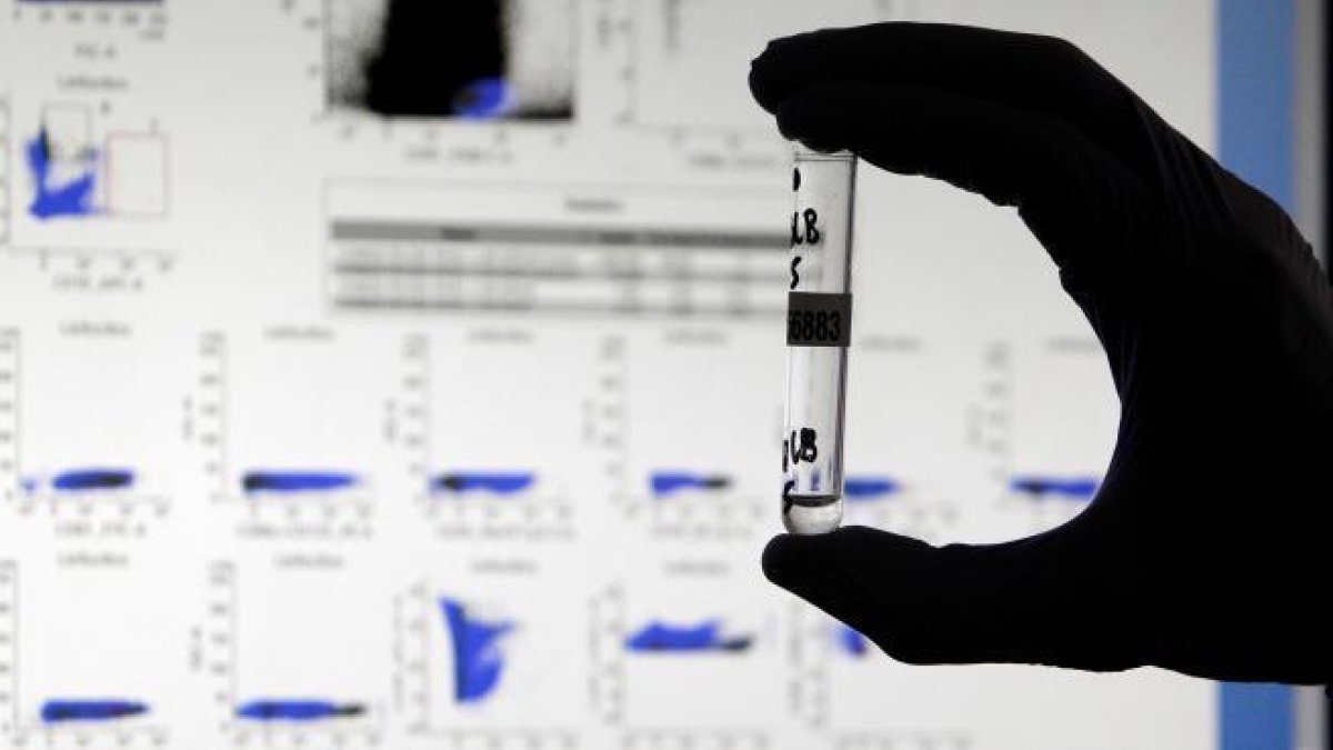 Un nou test aconsegueix detectar anticossos al coronavirus que fins ara eren invisibles