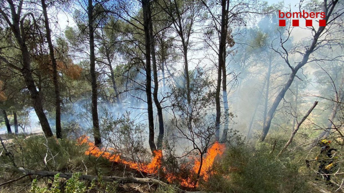 Estabilitzen un incendi forestal a Móra la Nova