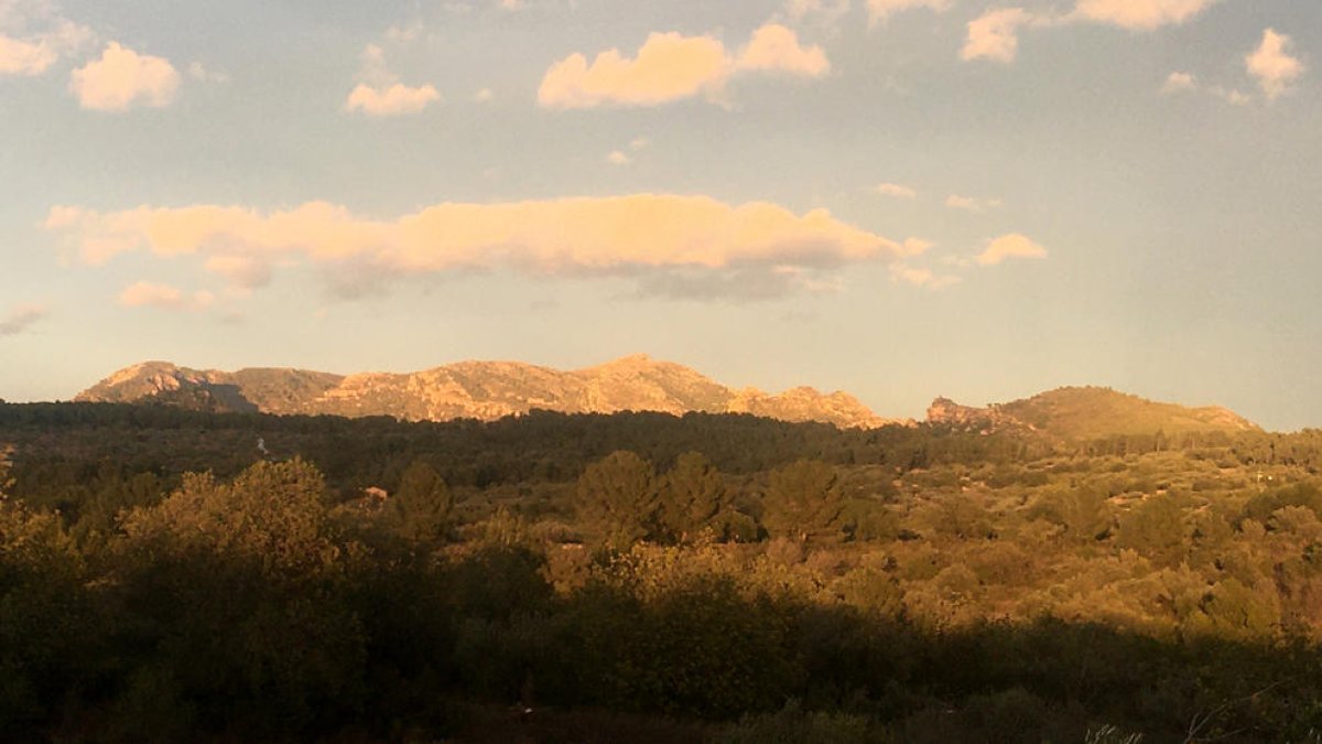 La Ametlla de Mar suspende las licencias para construir centrales eólicas y solares