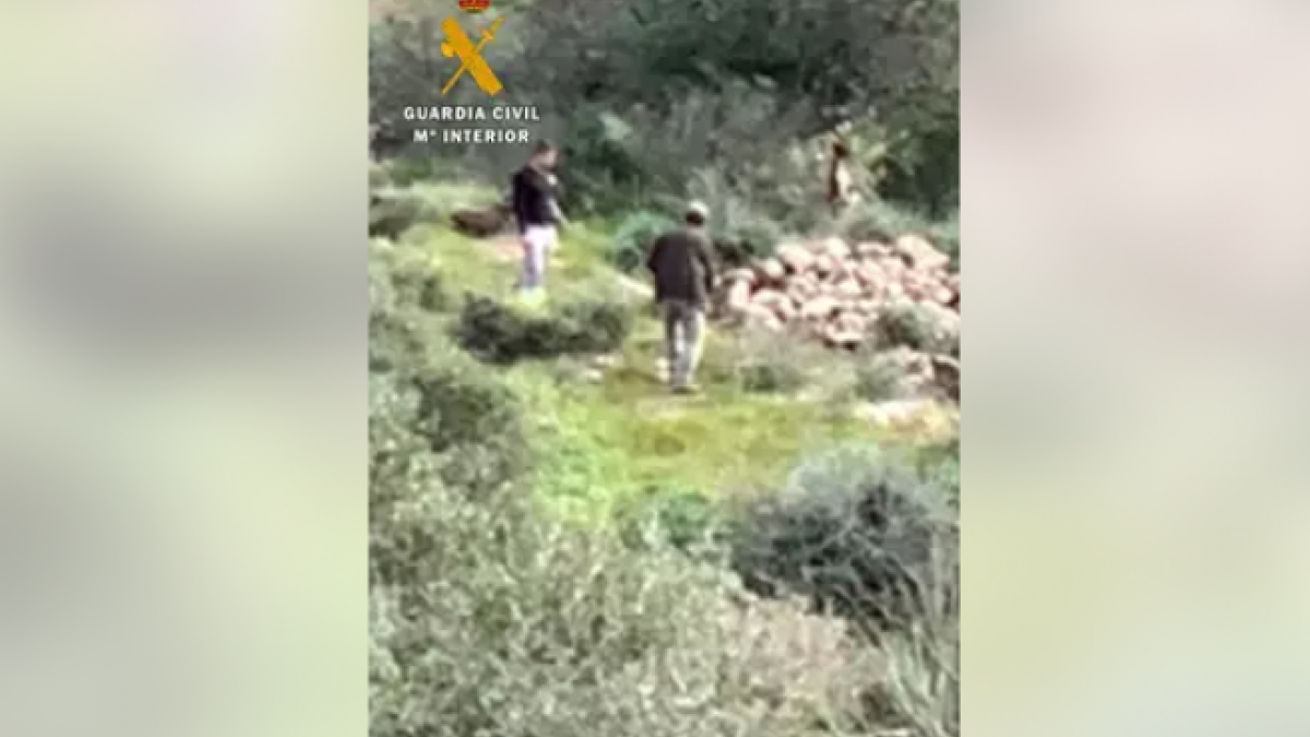 Detenidos por la muerte de un perro de caza al colgarlo de un árbol