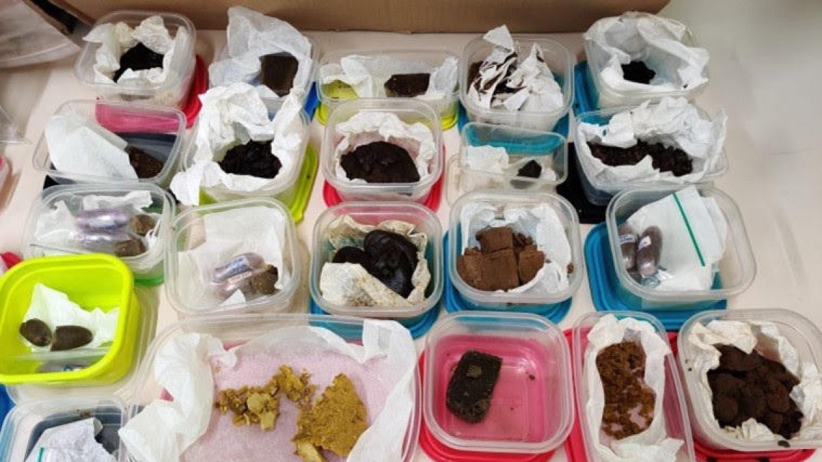 La Guàrdia Urbana de Barcelona intervé més de 8 quilos d'estupefaents d'una associació cannàbica a Gràcia