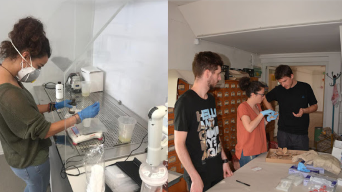 El Neolítico trajo un mayor consumo de carne bovina y de cereales en Europa