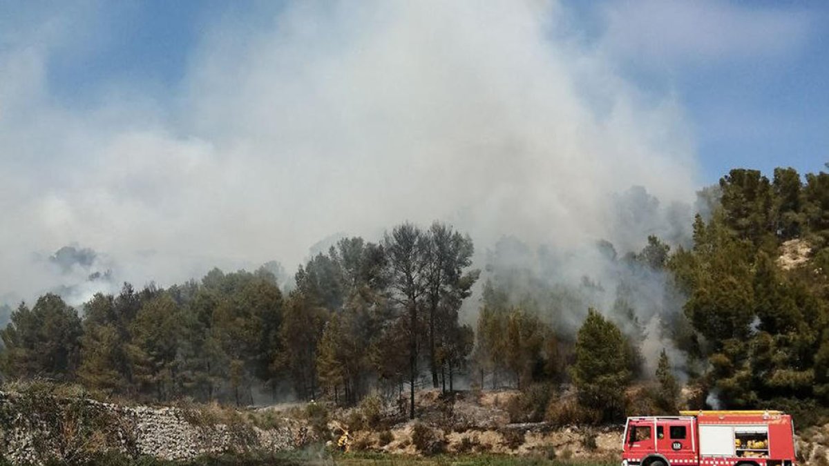 Una veintena de dotaciones de los Bomberos trabajan en la extinción de un incendio de vegetación en Miravet