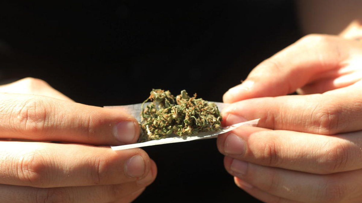 Nueva York legaliza oficialmente la marihuana para uso recreativo