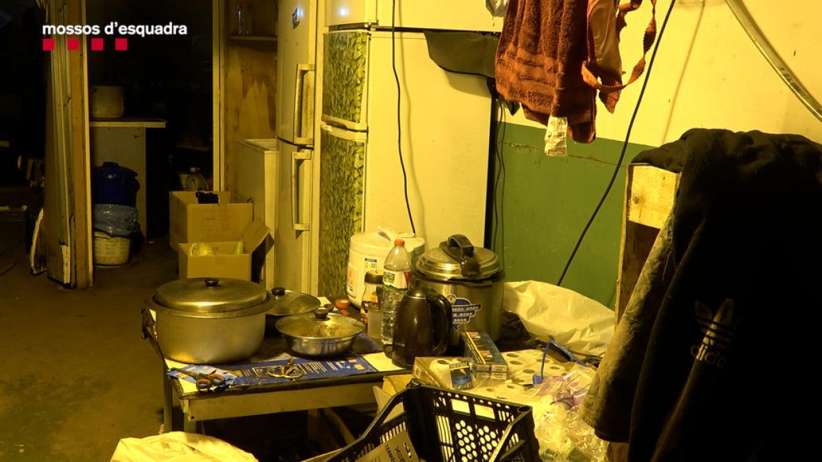 Desmantelan una organización que traficaba con ciudadanos chinos y los obligaba a cultivar marihuana industrialmente