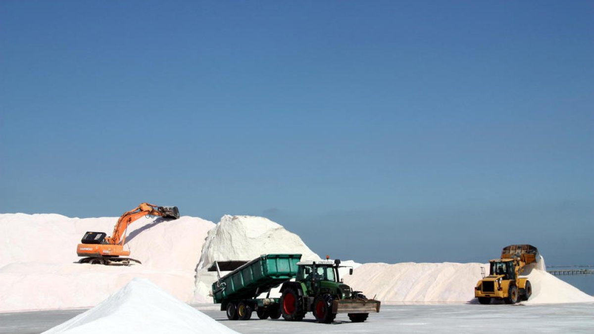 Los productores de cítricos del Montsià lamentan la destrucción de infraestructuras causada por los aguaceros