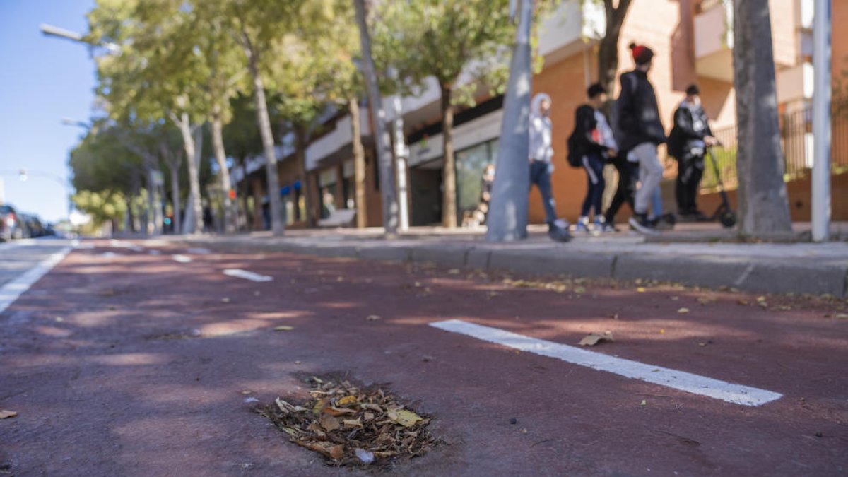 Bultos|Abolladuras y agujeros en el nuevo carril bici podrían retrasar su fecha de entrega