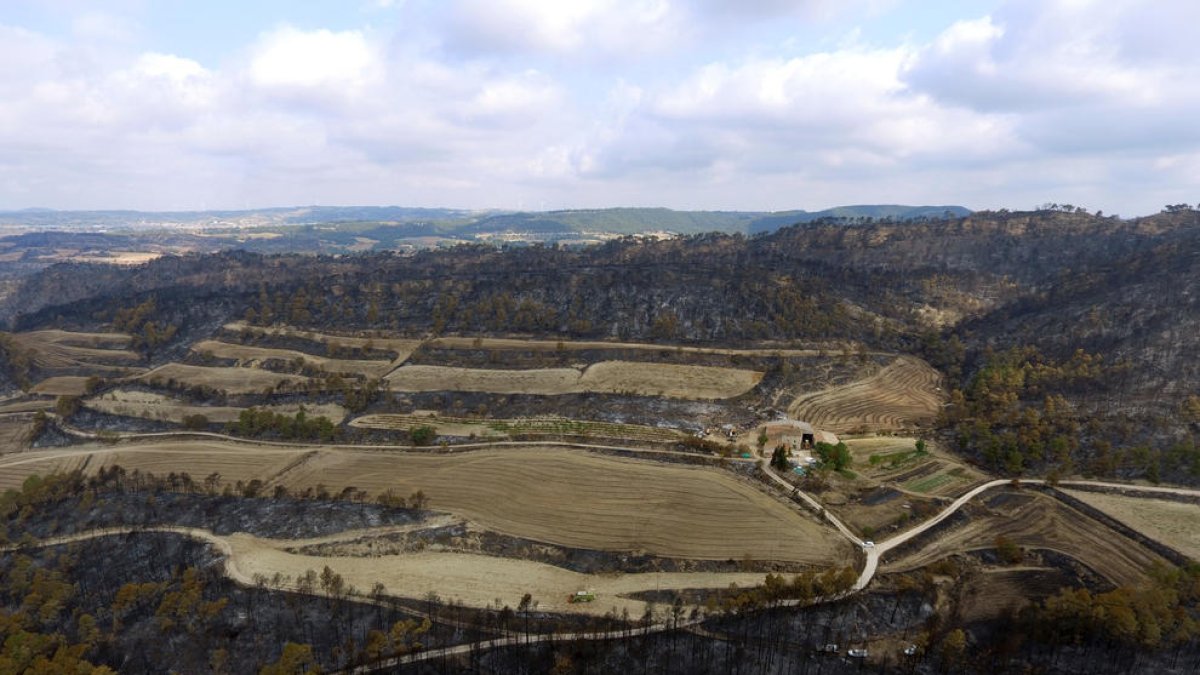 Surge un movimiento ciudadano por|para el incendio de la Conca de Barberà y Anoia