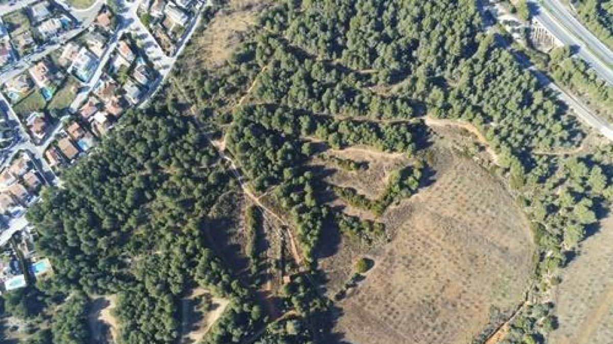 Ecologistes de Cunit convoquen una manifestació per aturar la urbanització d'un bosc autòcton