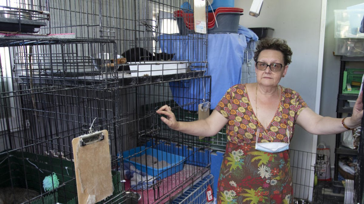 La Protectora de Animales de Tarragona pide dinero para ampliar el espacio para gatos