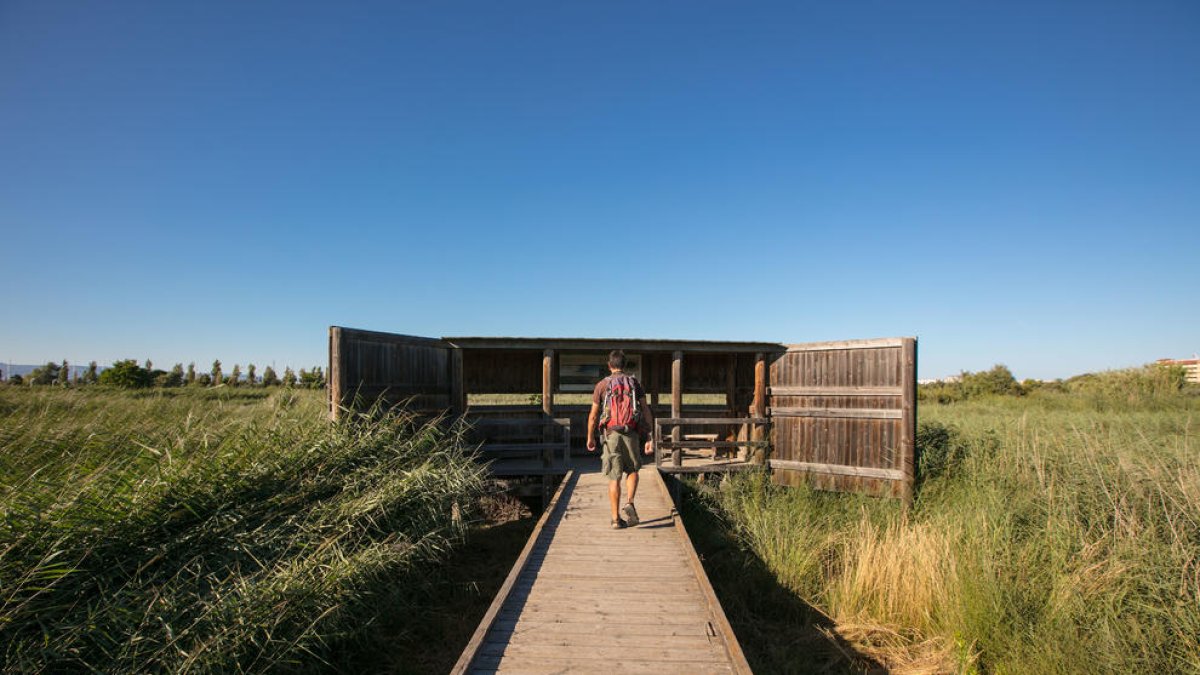 Vila-seca, el Pinar Playa: el placer de volver