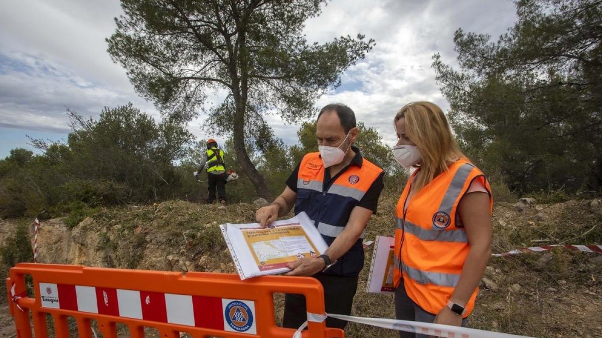 Comença la campanya de neteja i desbrossament de les franges forestals a Llevant