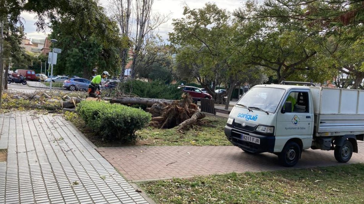 Els Bombers reben 283 avisos per incidències del vent fins a les 21h, sobretot a Tarragona