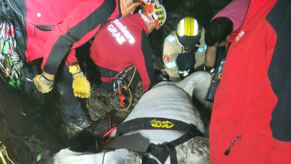 Els Bombers rescaten un cavall atrapat durant gairebé 24 hores dins un torrent