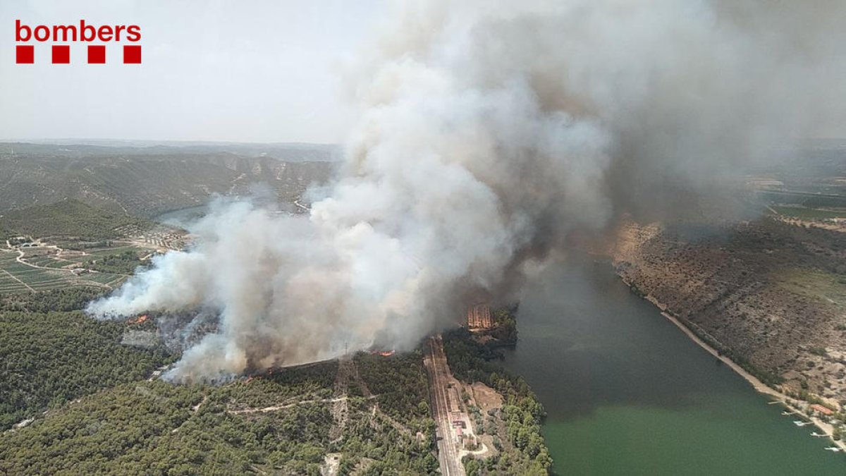 Un incendio de vegetación forestal quema en la Pobla de Massaluca