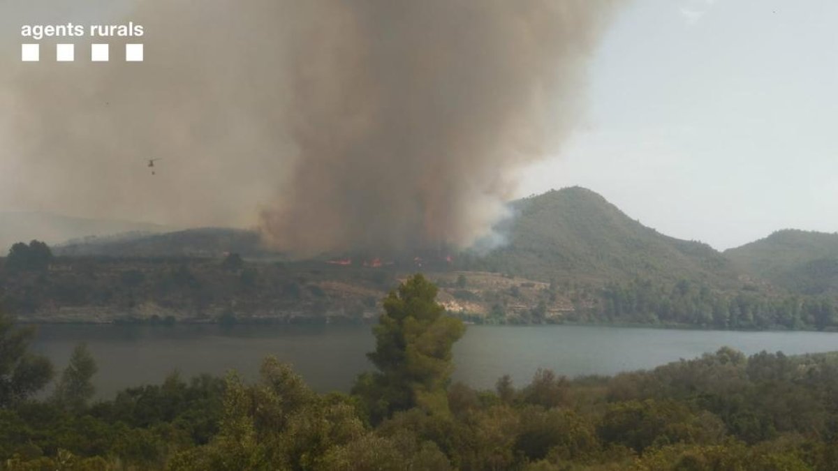 L'incendi a la Pobla de Massaluca afecta una superfície provisional de 33 hectàrees i obliga a desallotjar un càmping