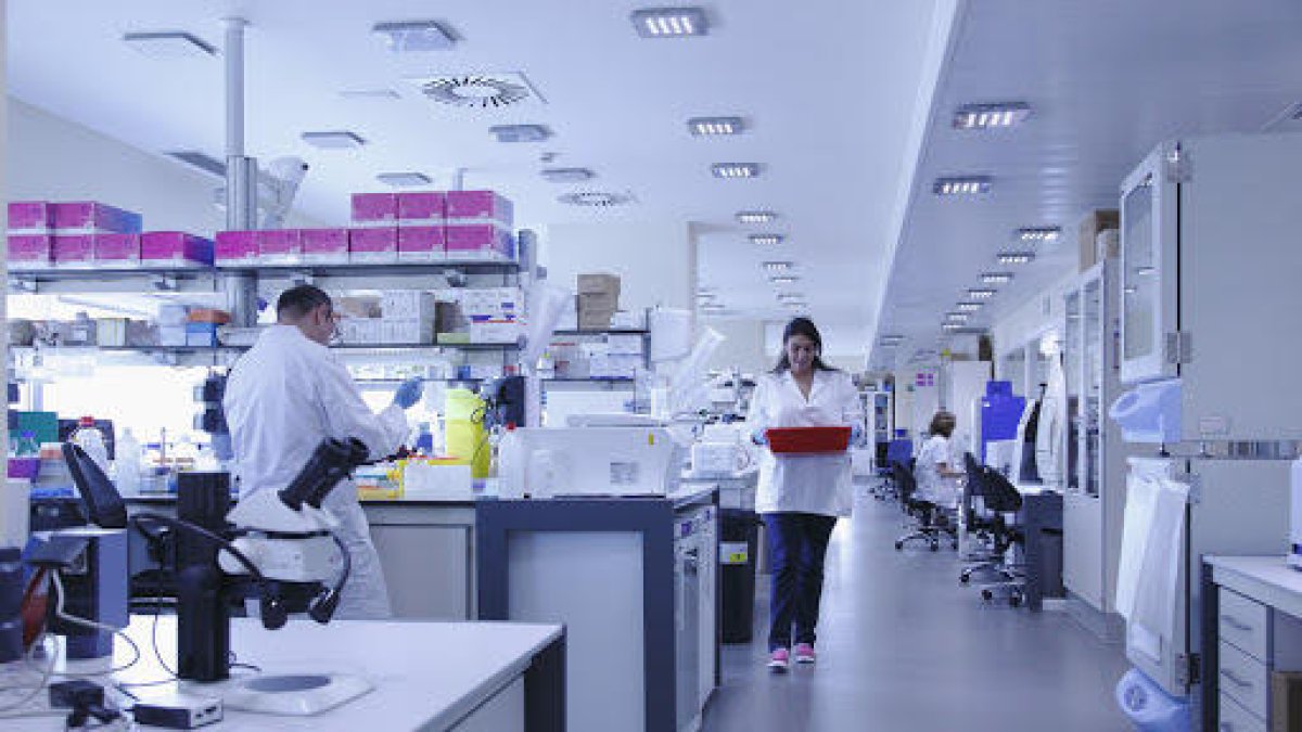 Descubren que las fuerzas mecánicas de las células sueño claves|clavos|llaves en el desarrollo del cáncer