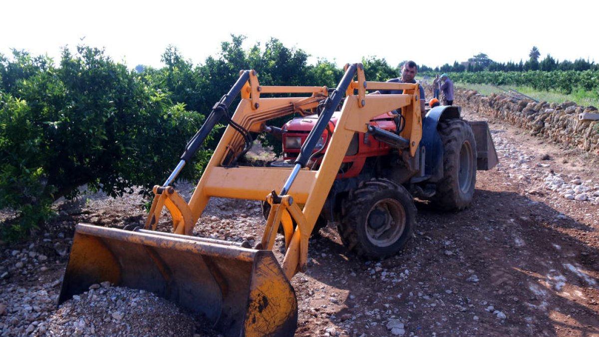 Los campesinos de Alcanar se apresuran a restaurar fincas y caminos en un mes del inicio de la cosecha de clementinas