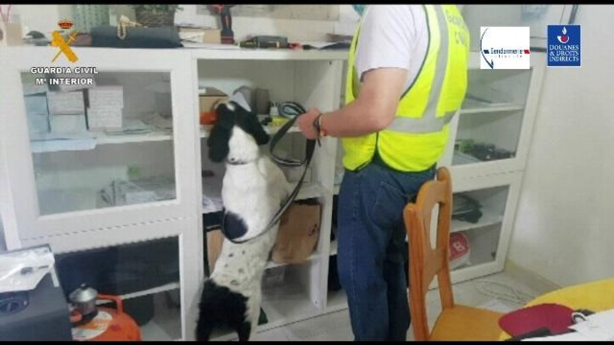 Cau una banda que va defraudar 4,5 milions d'euros amb 150 empreses falses