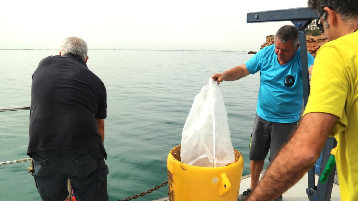 Pequeños gestos para reducir la cantidad de residuos plásticos al mar, el objetivo de las boyas SB Buoy de l'Ampolla
