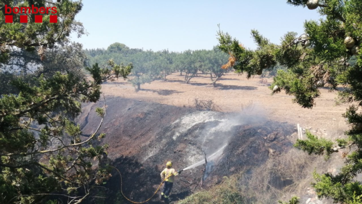 Quema una zona de vegetación en Reus, cerca de la C-14