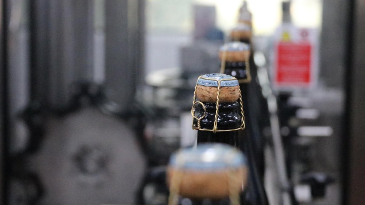 Prevén una producción de cava inferior a la media que disminuirá el exceso de stocks