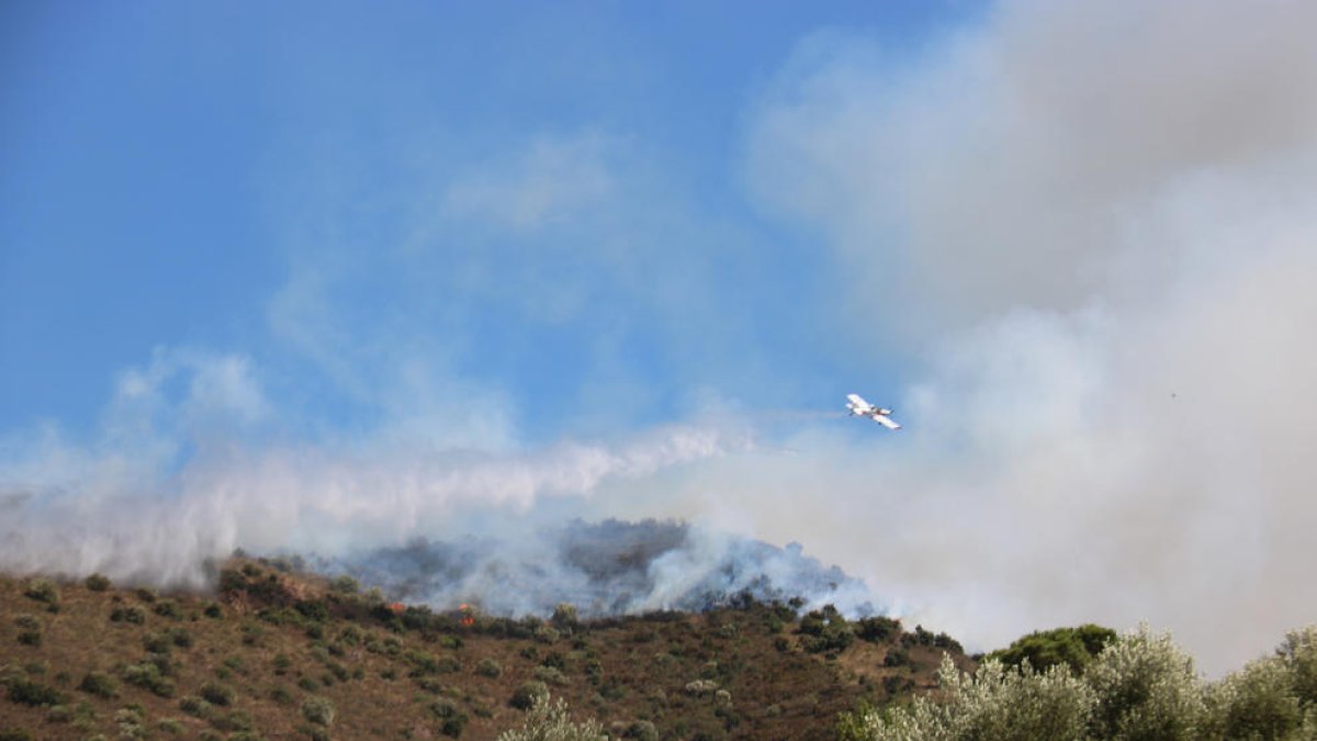 Els Bombers alerten que el foc de Llançà és «virulent» i temen una previsió de tres dies de Tramuntana