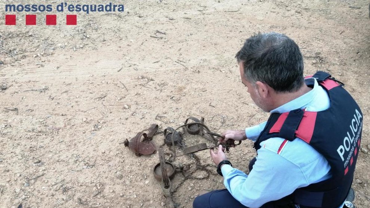 Los Mossos d'Esquadra denuncian a un hombre por instalar trampas ilegales en una finca de Godall