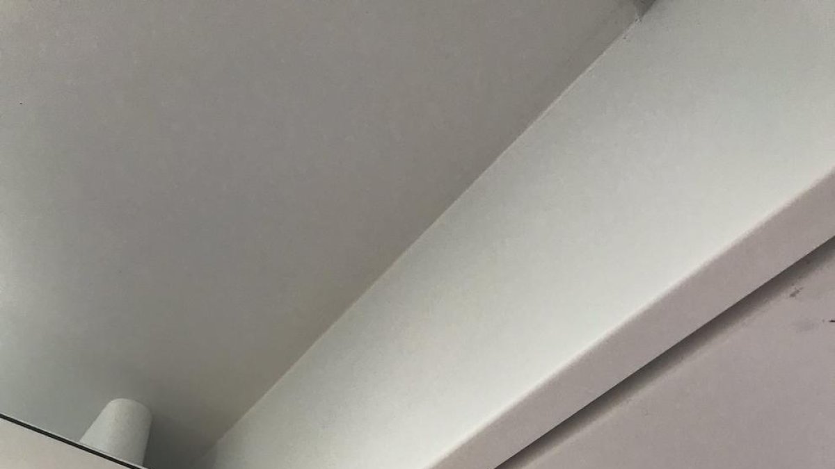 Una usuaria encuentra setas en un tren de Rodalies