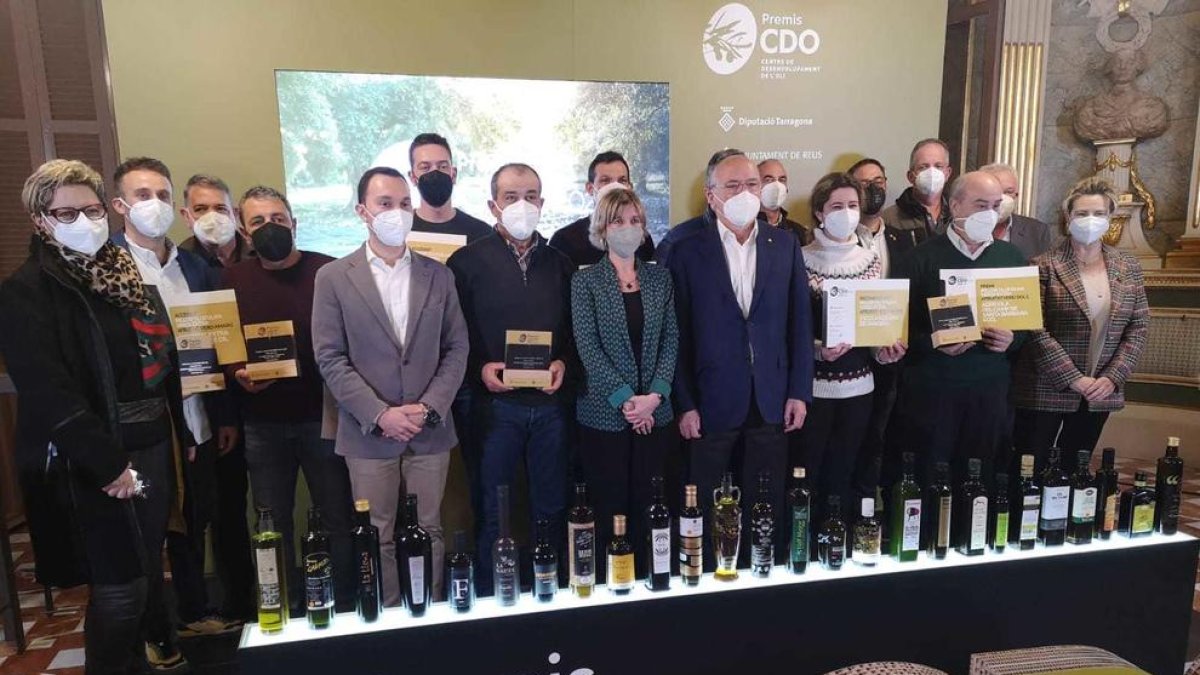 Els olis d'oliva verge extra de les Terres de l'Ebre, els millors de les DOP de la demarcació
