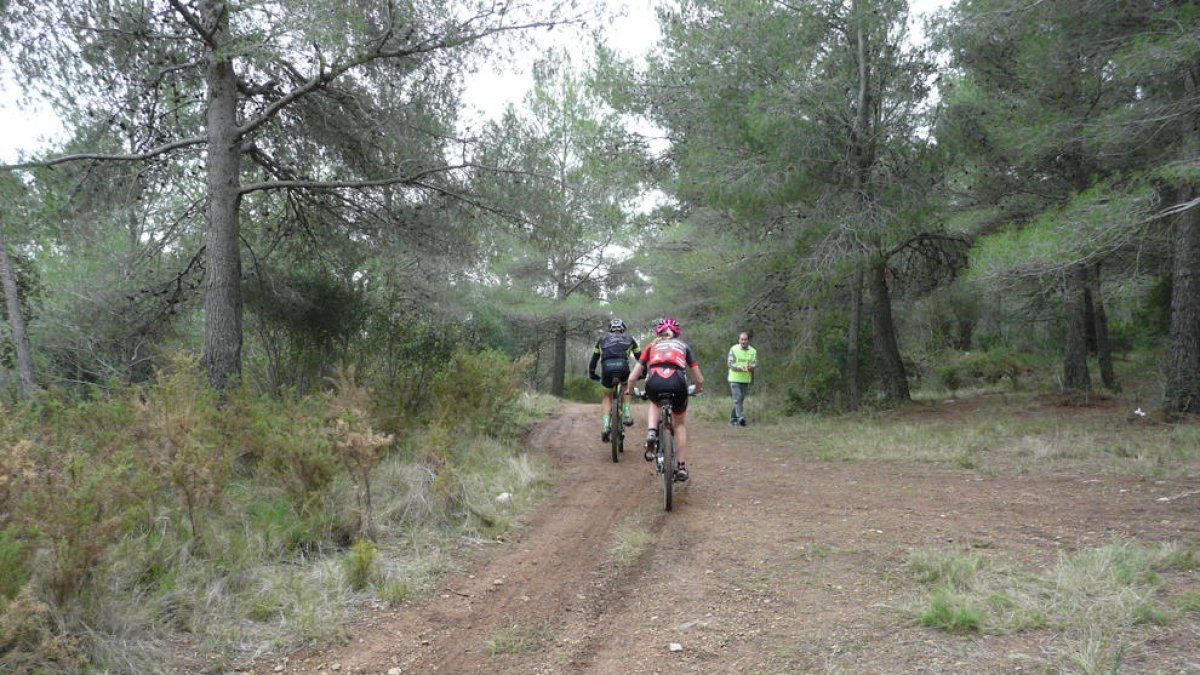 El Club Ciclista Alcover organitza la 17a edició de la Marxa BTT Vall del Glorieta
