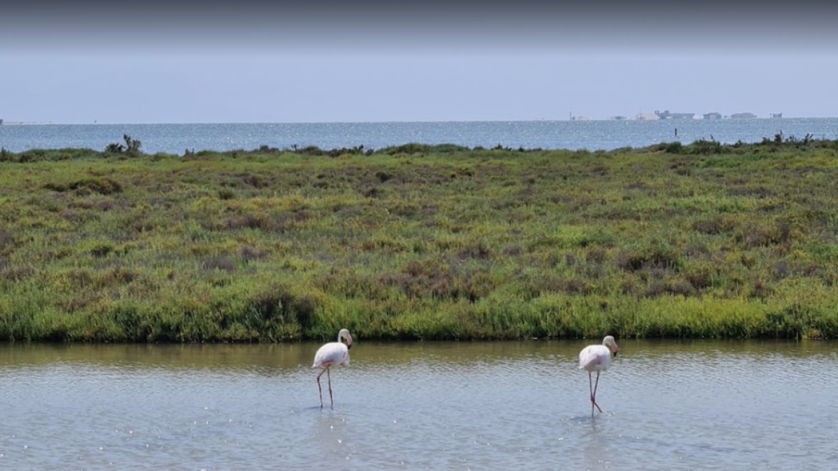 Convoquen concentracions a Tarragona i Deltebre per exigir la baixada de sediments a l'Ebre