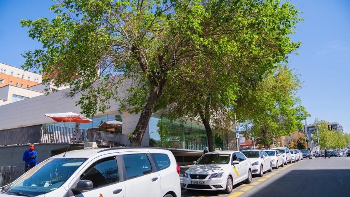 taxi, taxistes, parada taxi, Hospital Joan XXIII Tarragona, cotxes