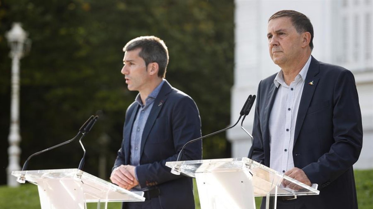 Otegi, a les víctimes d'ETA: «Sentim el seu dolor. No s'hauria d'haver produït mai»
