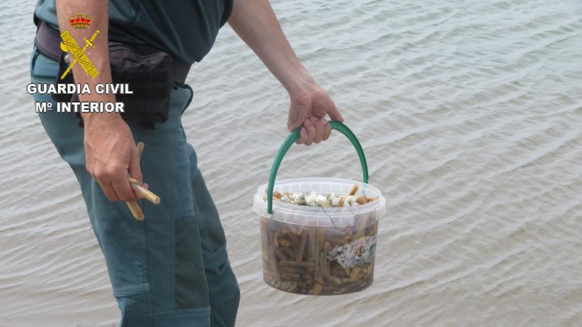 Interceptado en la Ràpita marisco cogido|recogido de manera ilegal con la 'técnica del biberón'
