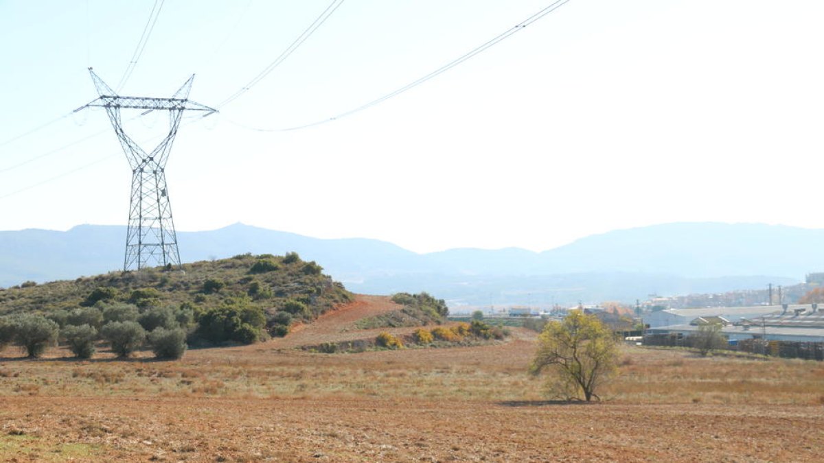 Bon Preu instal·larà a Montblanc un nou centre logístic amb una inversió de 50 MEUR i la creació de 500 llocs de treball