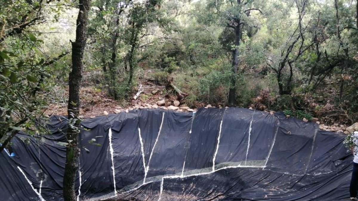 Los Mossos d'Esquadra desmantelan una plantación de marihuana en la Conca de Barberà